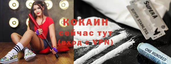 твердый Лиски