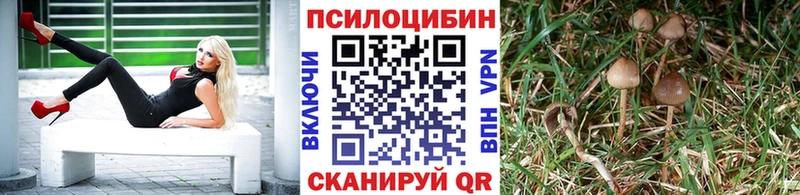 Псилоцибиновые грибы прущие грибы  Мыски 