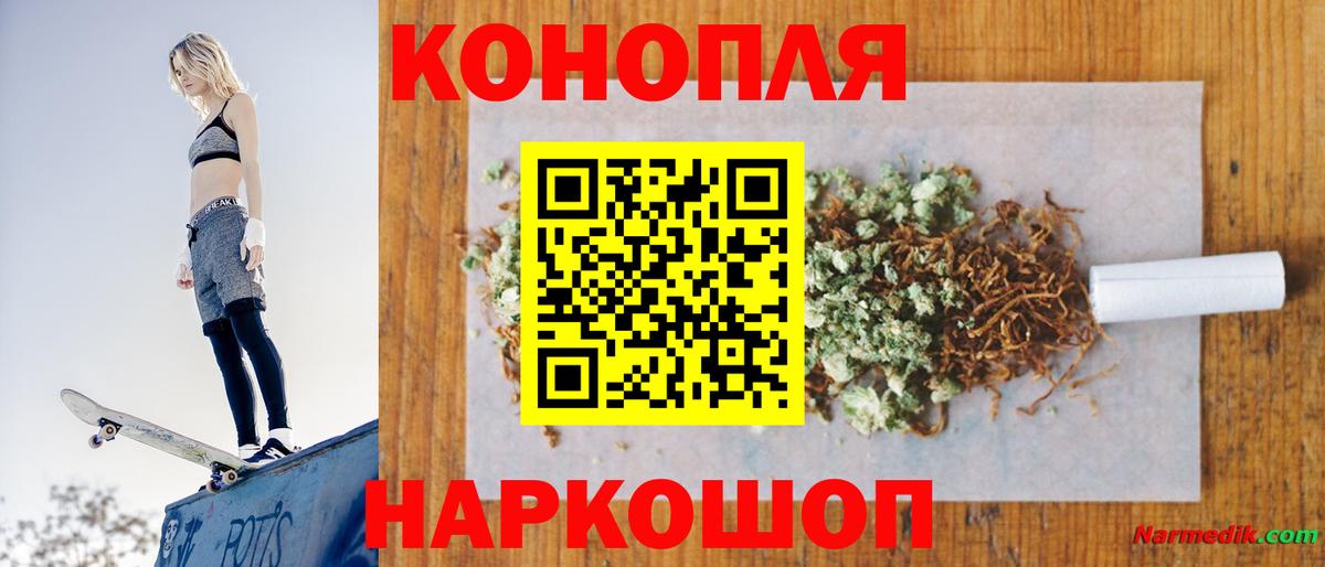 Бошки марихуана сатива Мыски